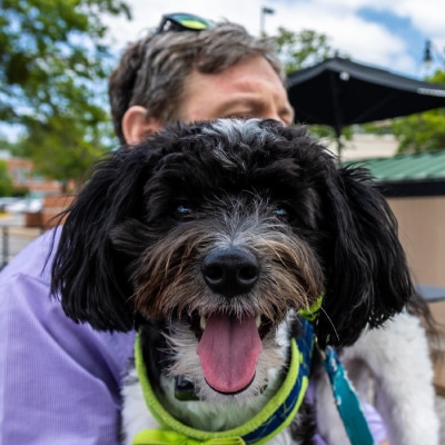 PET PHOTOGRAPHY